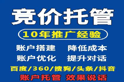 竞价SEM助力电商平台快速提升流量