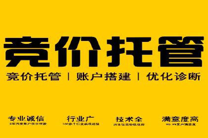 XX行业信息流广告的投放技巧与效果评估